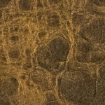 Gilded dark brown